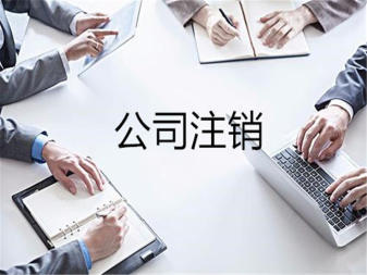 專業稅務代理與工商服務全解析